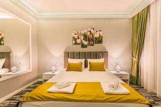 Отель Stejarii Resort Ineu Улучшенный двухместный номер с 1 кроватью-3